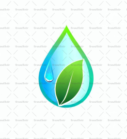 Wassertropfen und Blatt